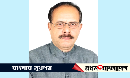 প্রার্থী যেই হোক ধানের শীষে ভোট চাই: আবুল হারিস রিকাবদার 
