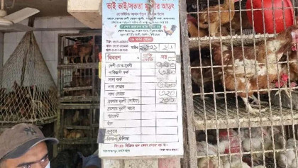 রোজায় মুরগির দাম বাড়ল কেজিতে ২০ থেকে ১০০ টাকা